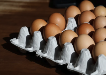docena-huevos