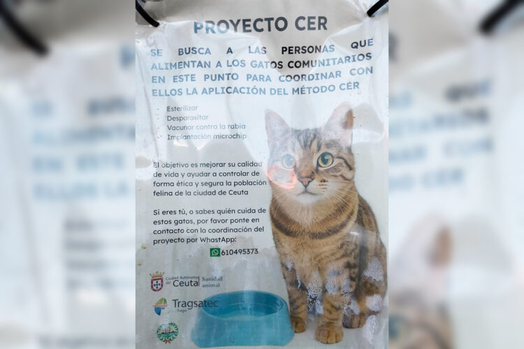 daubma-denuncia-cese-programa-cer