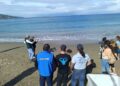 drones-proteger-tortugas-cetaceos-costas