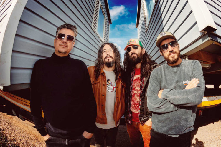 king-sapo-ceuta-presentar-dios-america