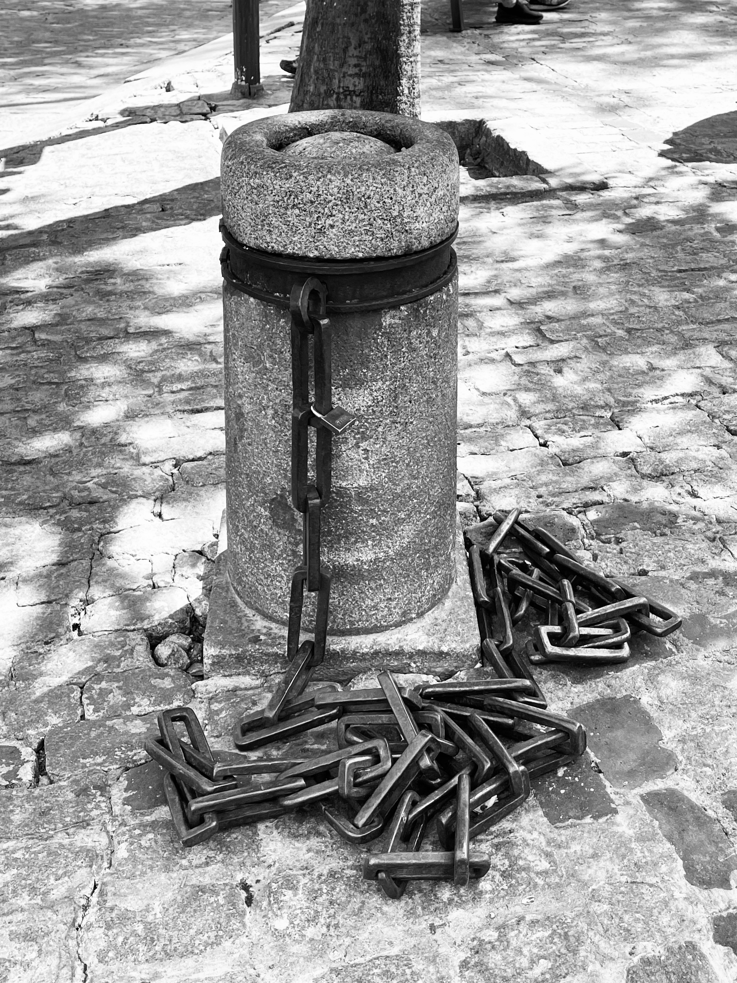 lobos-paris-003