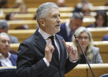 marlaska-senado