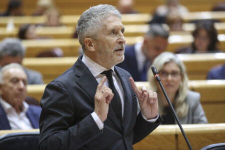 marlaska-senado