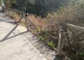 sendero-abandonado-geron-san-amaro