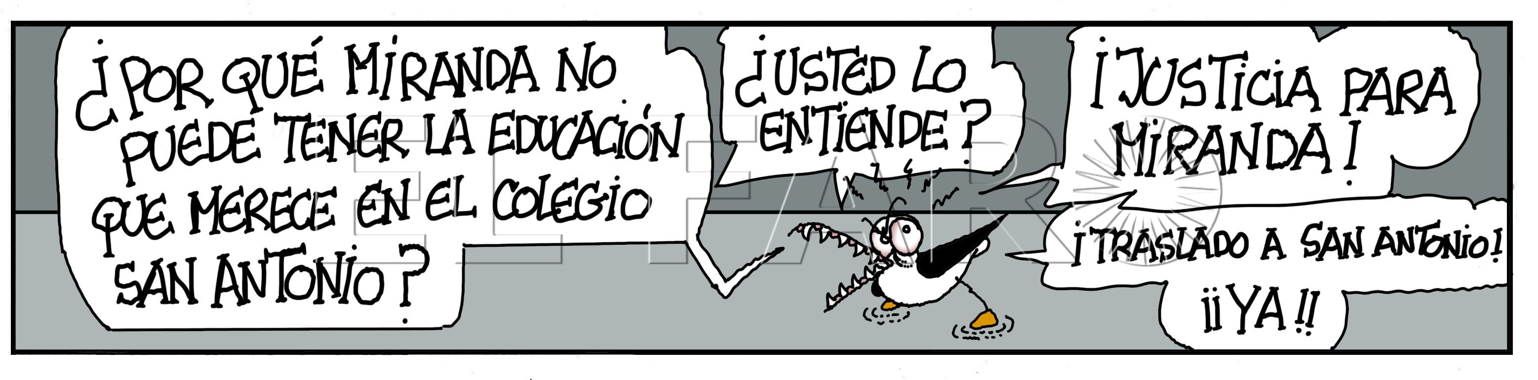 Domingo 25 de enero de 2026