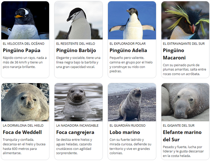 apadrina-pinguino-antartida-campana-ejercito-tierra