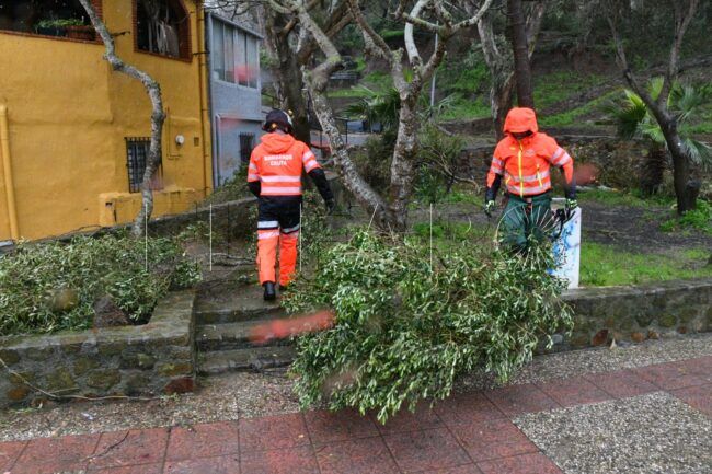 Carta de agradecimiento al Cuerpo de bomberos