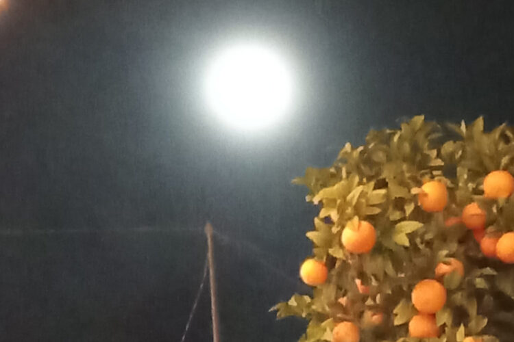 la-luna
