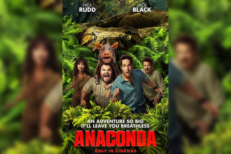 sopa-ganso-anaconda