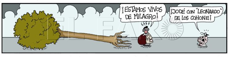 Jueves 5 de febrero de 2026