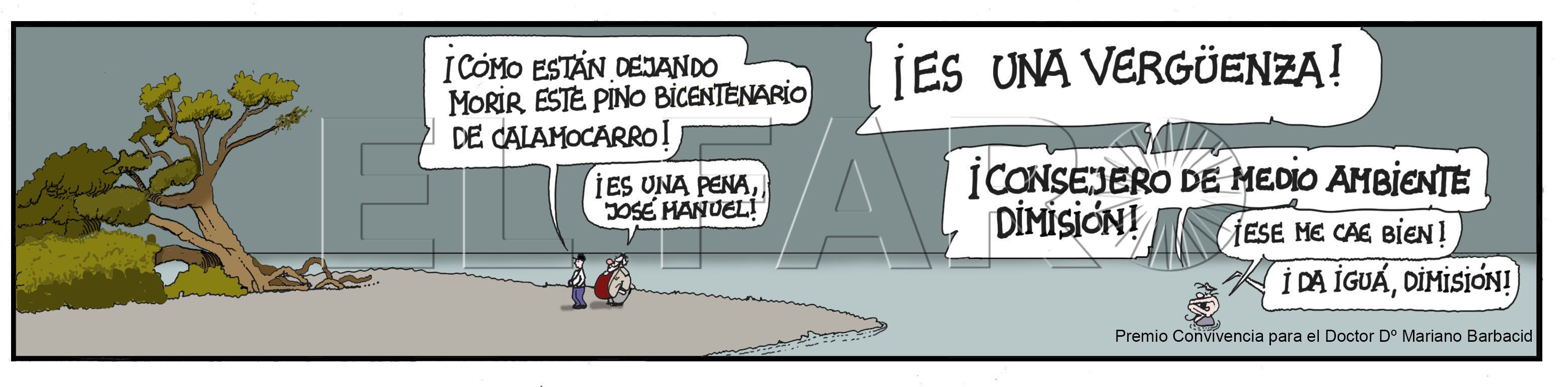 Jueves 12 de febrero de 2026