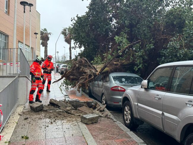 Vox: «Muchas incidencias de los temporales se habrían evitado con un mapa de riesgos»