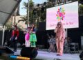 concurso-carnaval-infantil-disfraces-sorprendentes-9