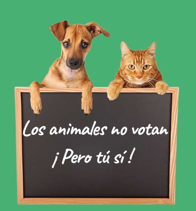 voto-animales-001