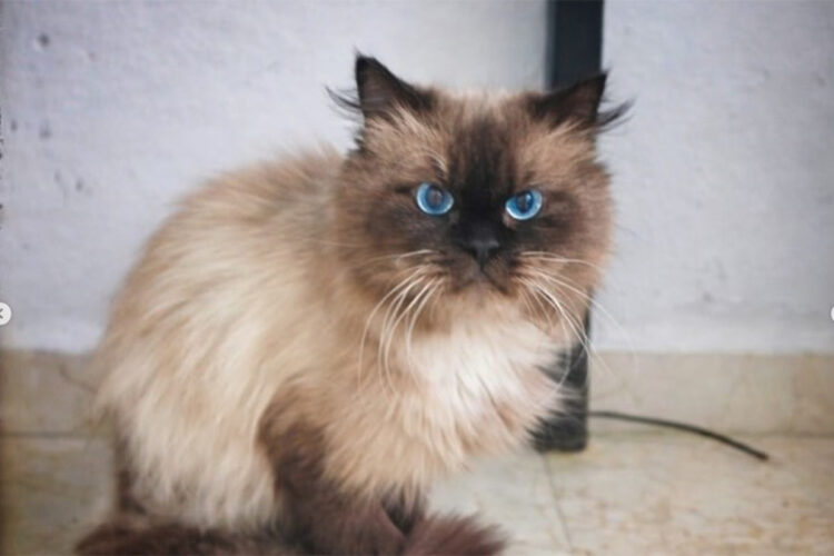 hogar-para-siempre-ciro