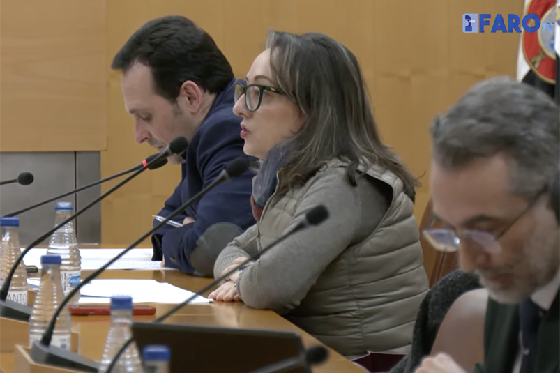 pleno-terrones-vox.jpg