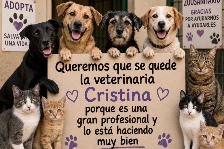 Sobre la veterinaria y los trabajadores del Zoosanitario