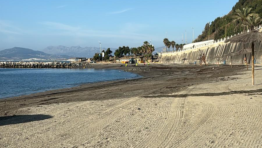 ciudad-retira-toneladas-alga-asiatica-playas-2