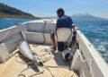 localizan-dos-delfines-mutilados-menos-48-horas-aguas-ceuta-6