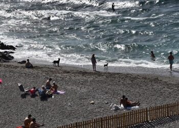 playa-perros-benedicto