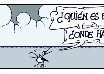 domingo-26-julio-2026