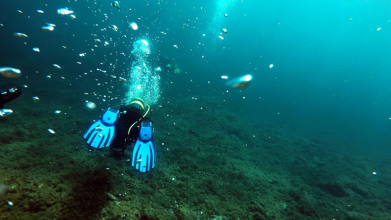El MDyC critica diez años de retraso para regular el buceo en Ceuta