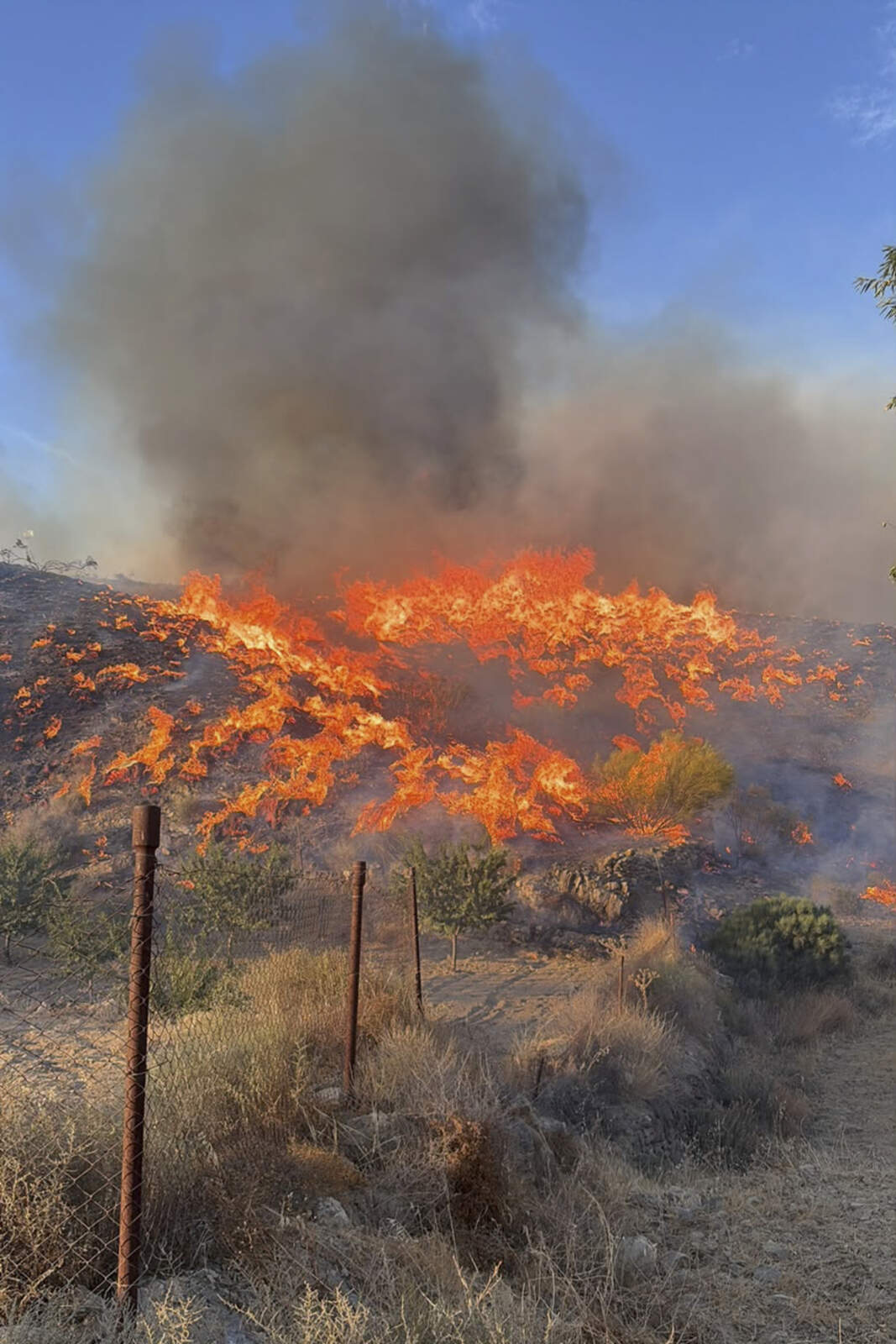 almeria-devastador-incendio-2
