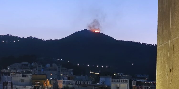 bomberos-actua-grave-incendio-monte-tortuga-1